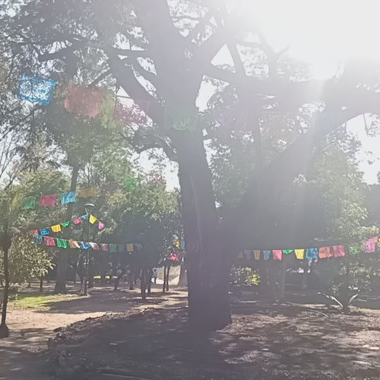 day of the dead outdoor decorations video