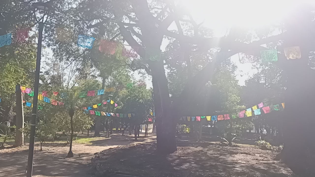 day of the dead outdoor decorations video